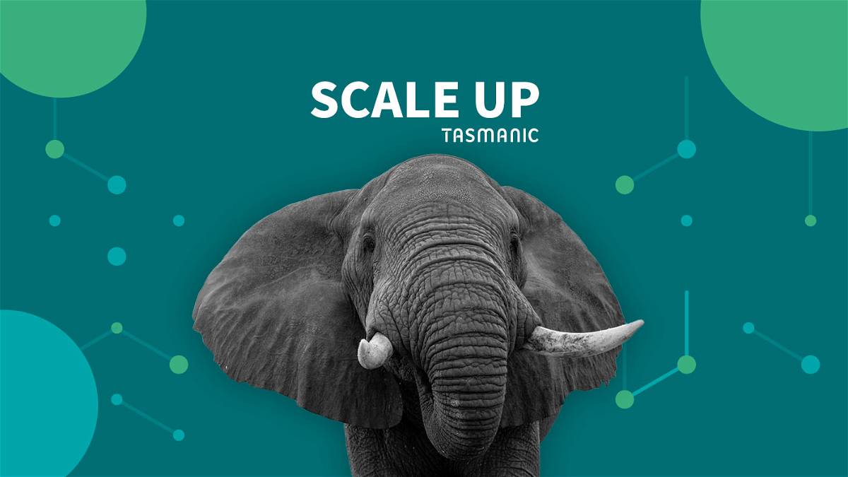 Scale-up marketing