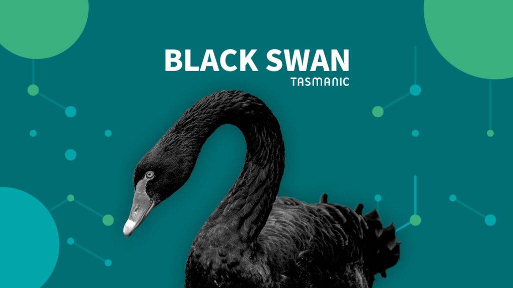 Black Swan Nassim Taleb