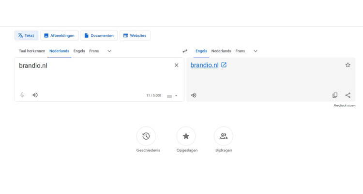 Website vertalen met Google Translate